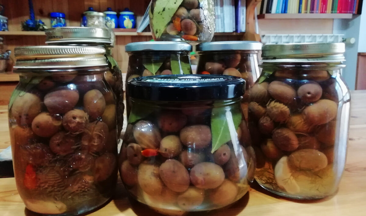 Olive piccanti in salamoia alla Betta